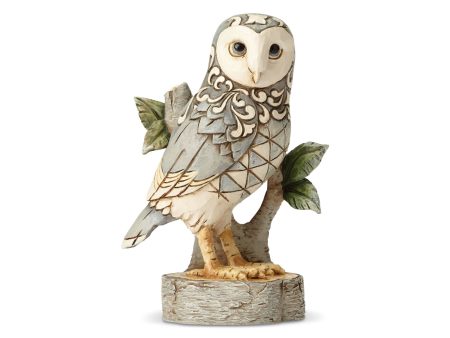 White Woodland Owl on Branch Online Hot Sale