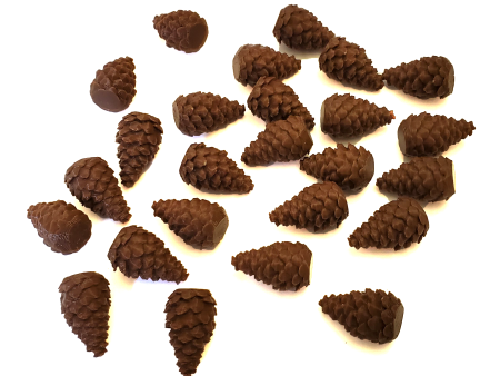 Top Shelf Gamer - Pinecone Tokens compatible with Cascadia™ (set of 25) Sale